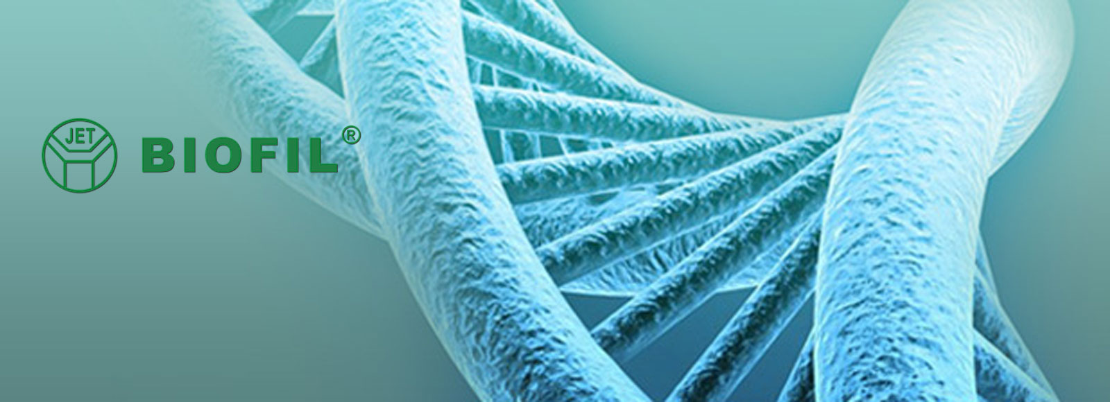 Hogergene represents biofil jets